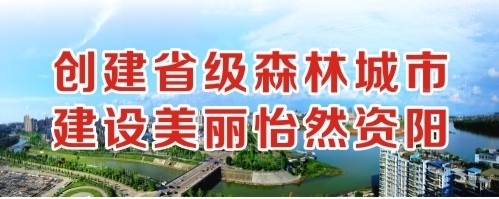 老黑大鸡吧视频创建省级森林城市 建设美丽怡然资阳